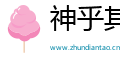 神乎其技网