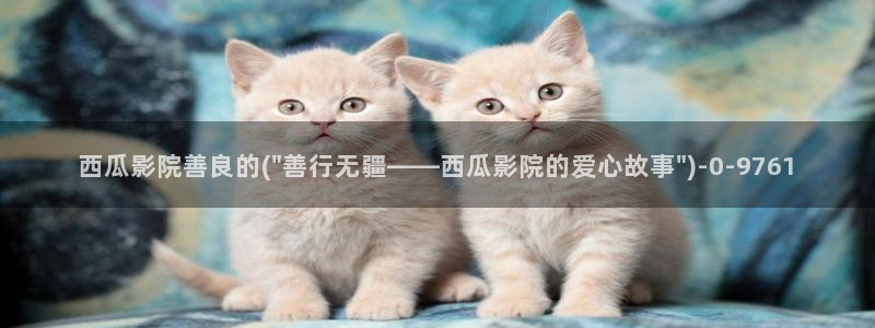 我的前半生免费观看西瓜影院