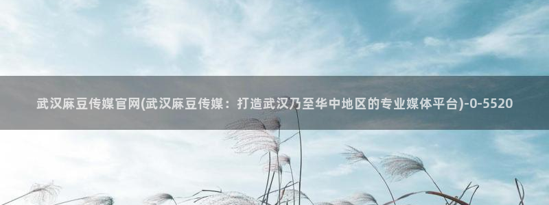 麻豆描述库