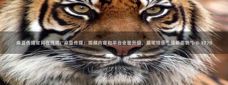 麻豆视频精准词