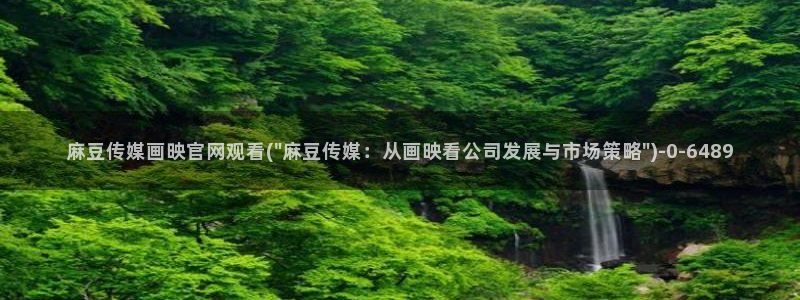 麻豆视频内容质量