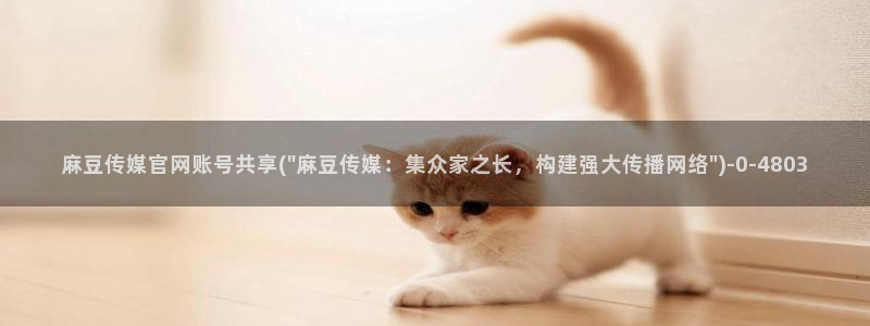 麻豆视频栏目文案