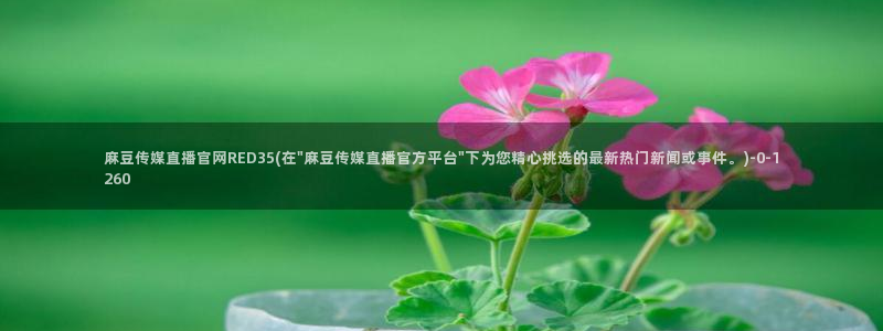 麻豆内容整理
