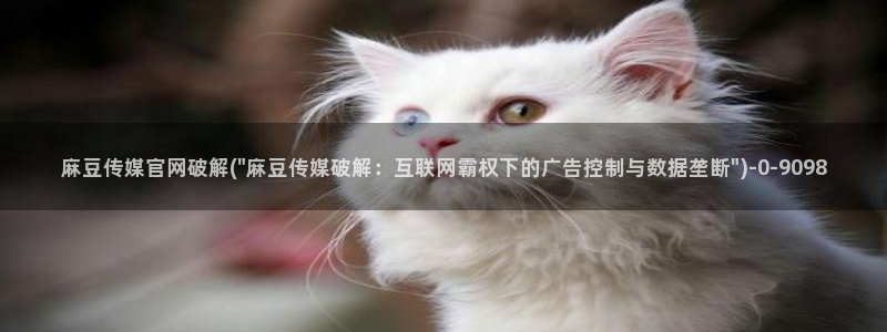 麻豆视频