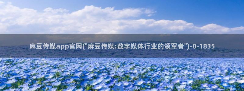 麻豆视频联系页面：麻豆传媒app官网(\