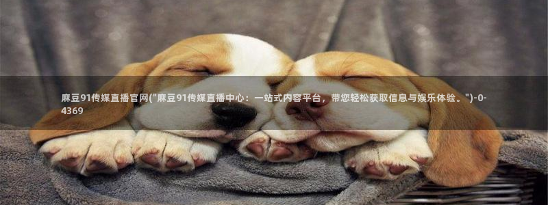 麻豆视频SEO词库：麻豆91传媒直播官网(\