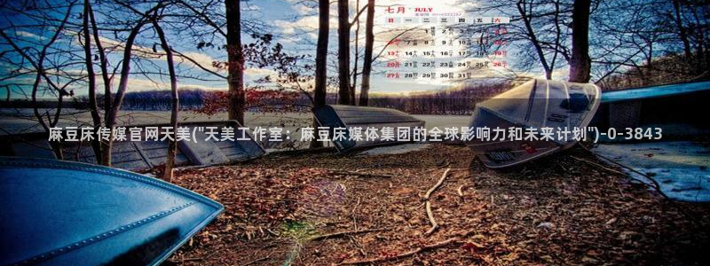 麻豆视频搜索