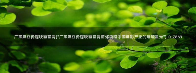 麻豆榜单标题