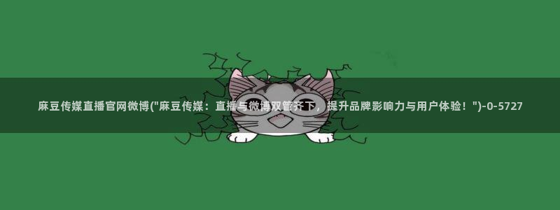 麻豆视频长尾关键词