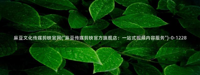 麻豆视频栏目文案