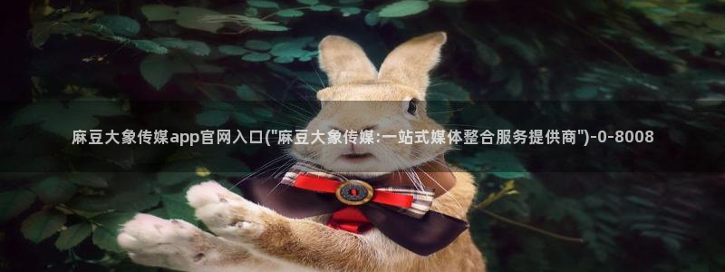 麻豆榜单描述