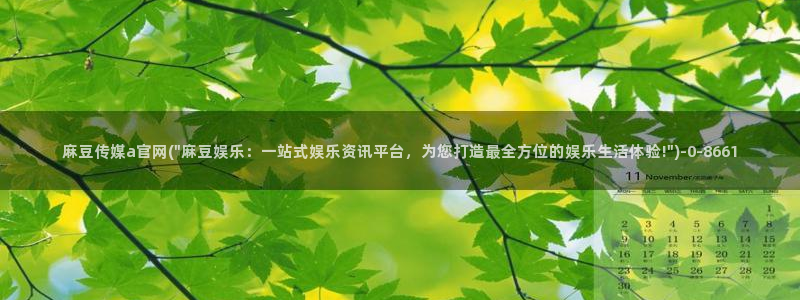 麻豆观看指南
