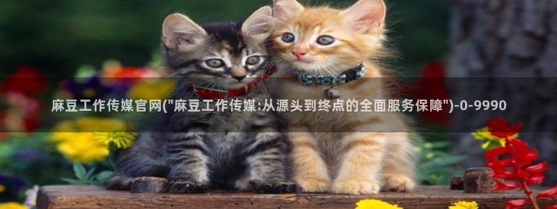麻豆视频评分
