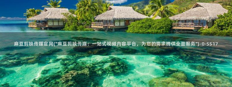 麻豆视频版权说明