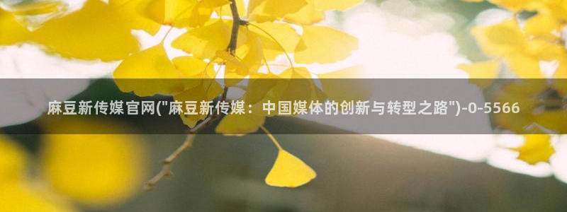 麻豆内容服务