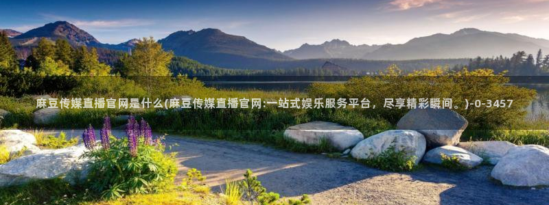 麻豆视频站