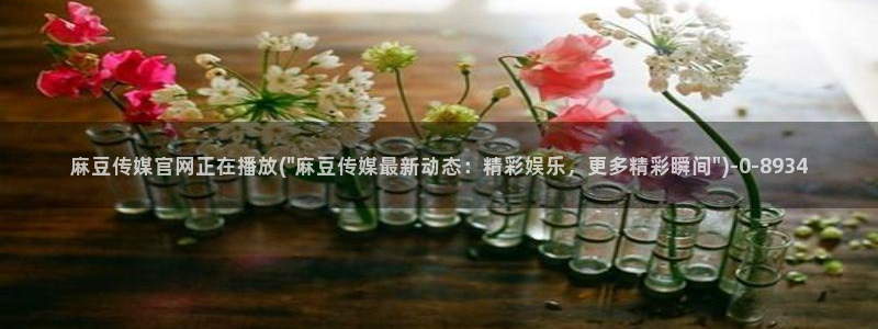 麻豆视频内容质量