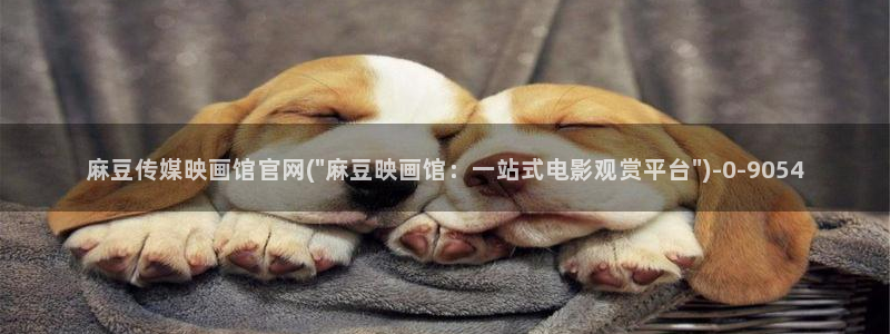 麻豆影视资讯