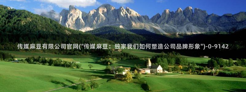 麻豆视频百度优化