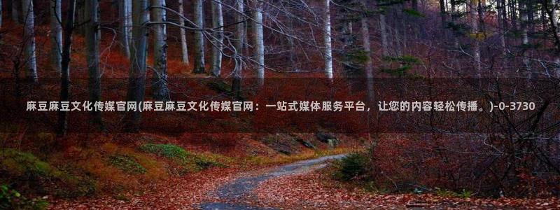 麻豆视频标签规划