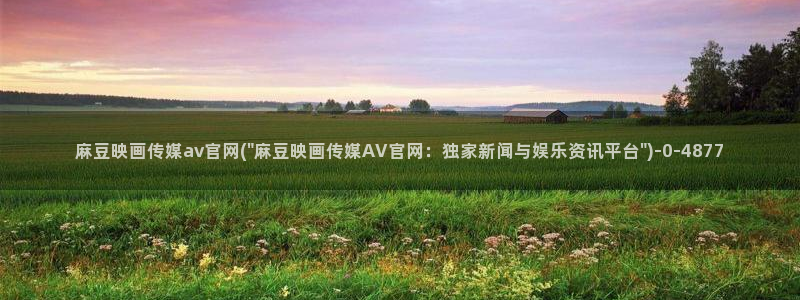 麻豆国产精选