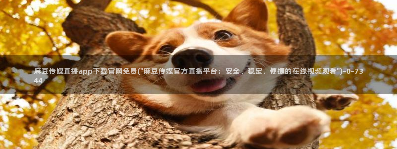 麻豆视频长尾词