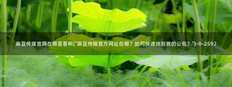 麻豆专题整理