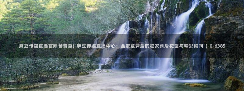 麻豆剧情解析