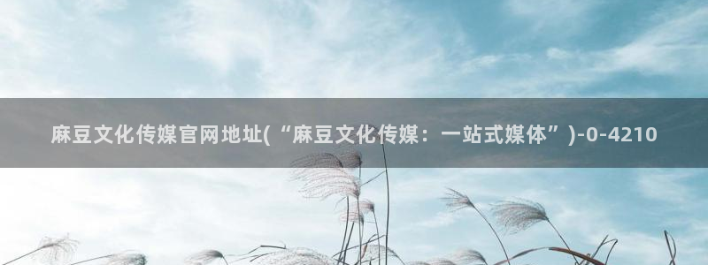 麻豆视频描述规则