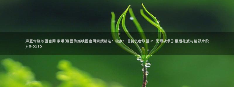 麻豆专题整理