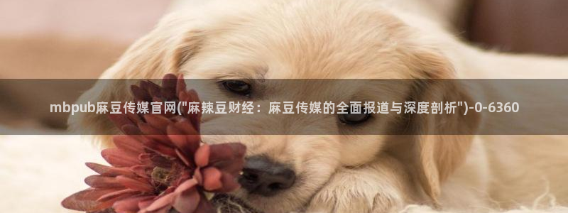 麻豆新片速递