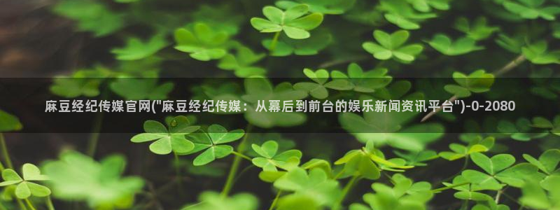 麻豆视频文章内容