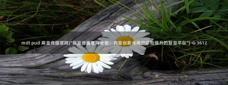 麻豆视频文章描述