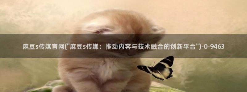 麻豆视频目录