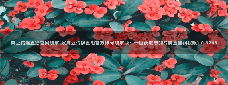 麻豆视频在线