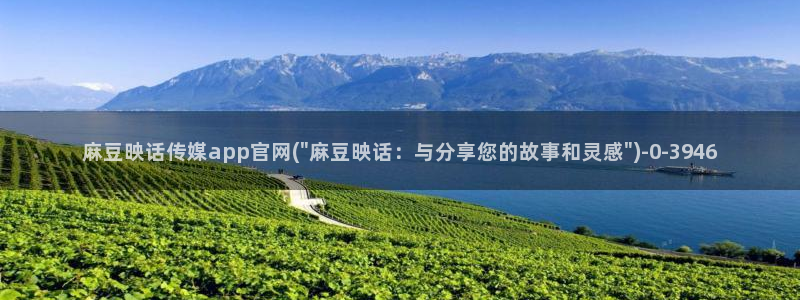 麻豆视频栏目规划